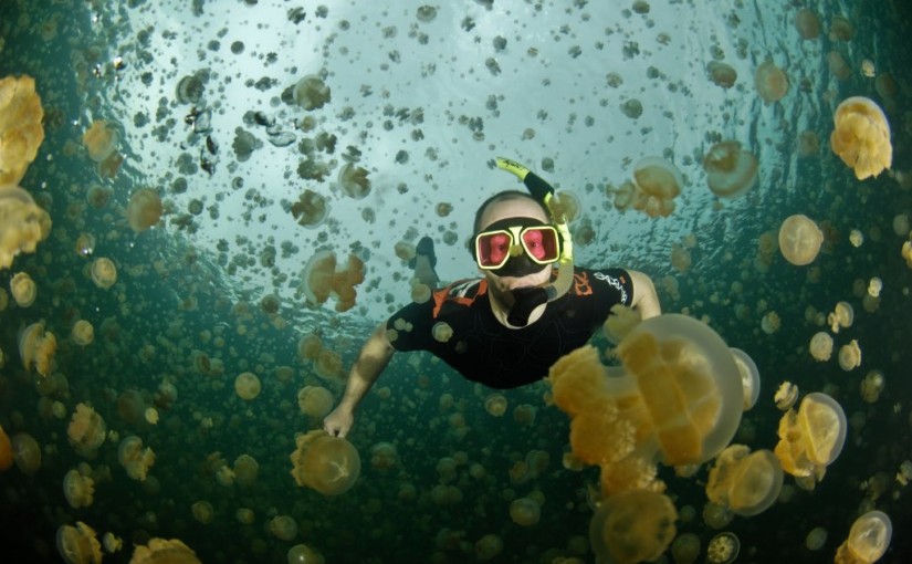 Ongeim’l Tketau — озеро, полное медуз
